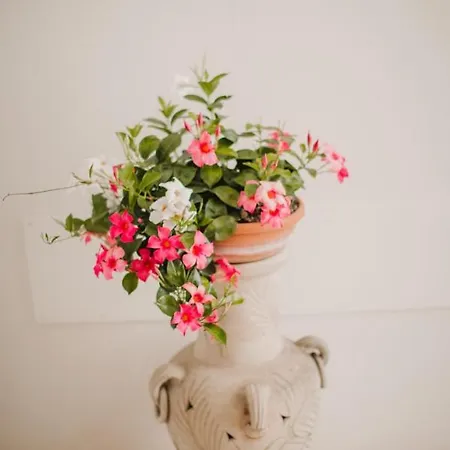 La Finestra Sul Cortile By Tramonti *