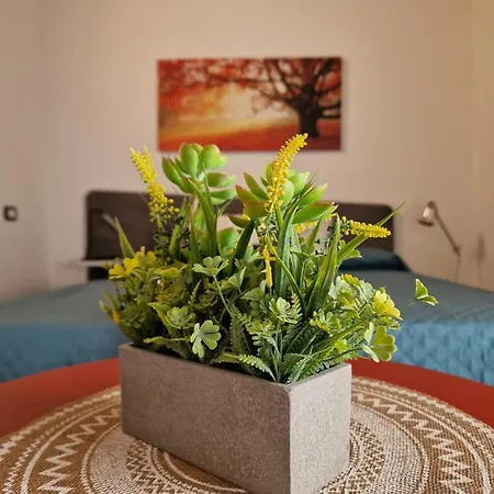 La Finestra Sul Cortile By Tramonti L'Aquila