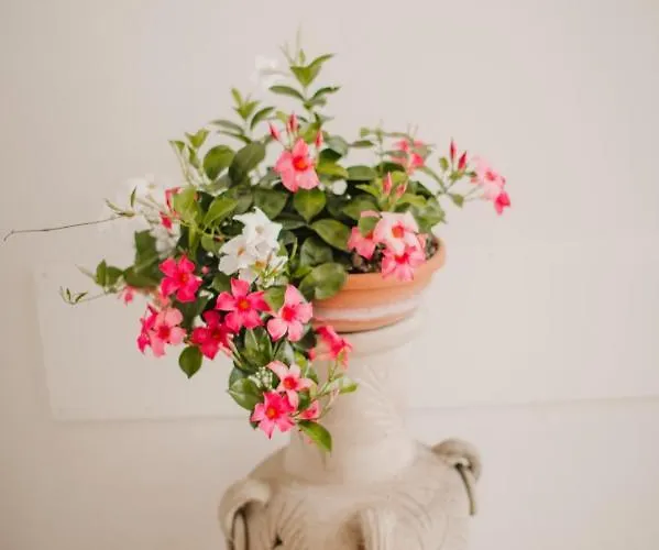 La Finestra Sul Cortile By Tramonti *