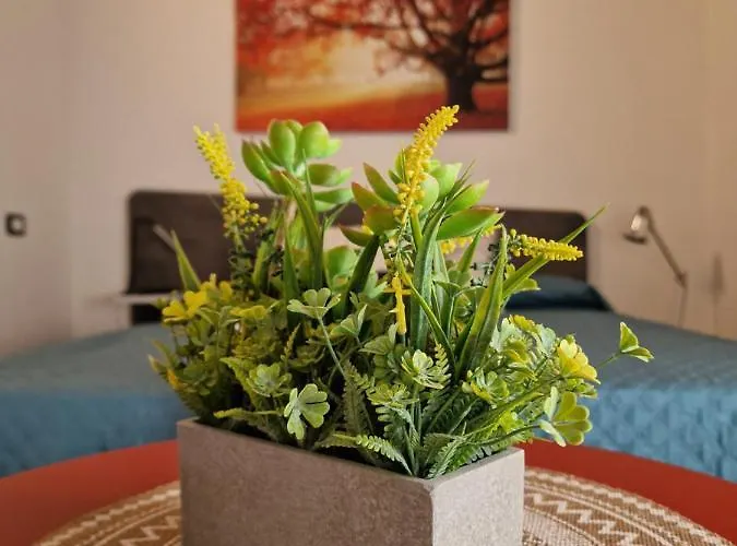 La Finestra Sul Cortile By Tramonti LʼAquila